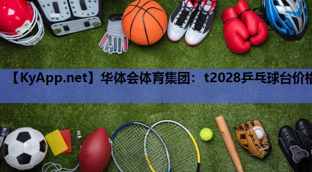 华体会体育集团：t2028乒乓球台价格